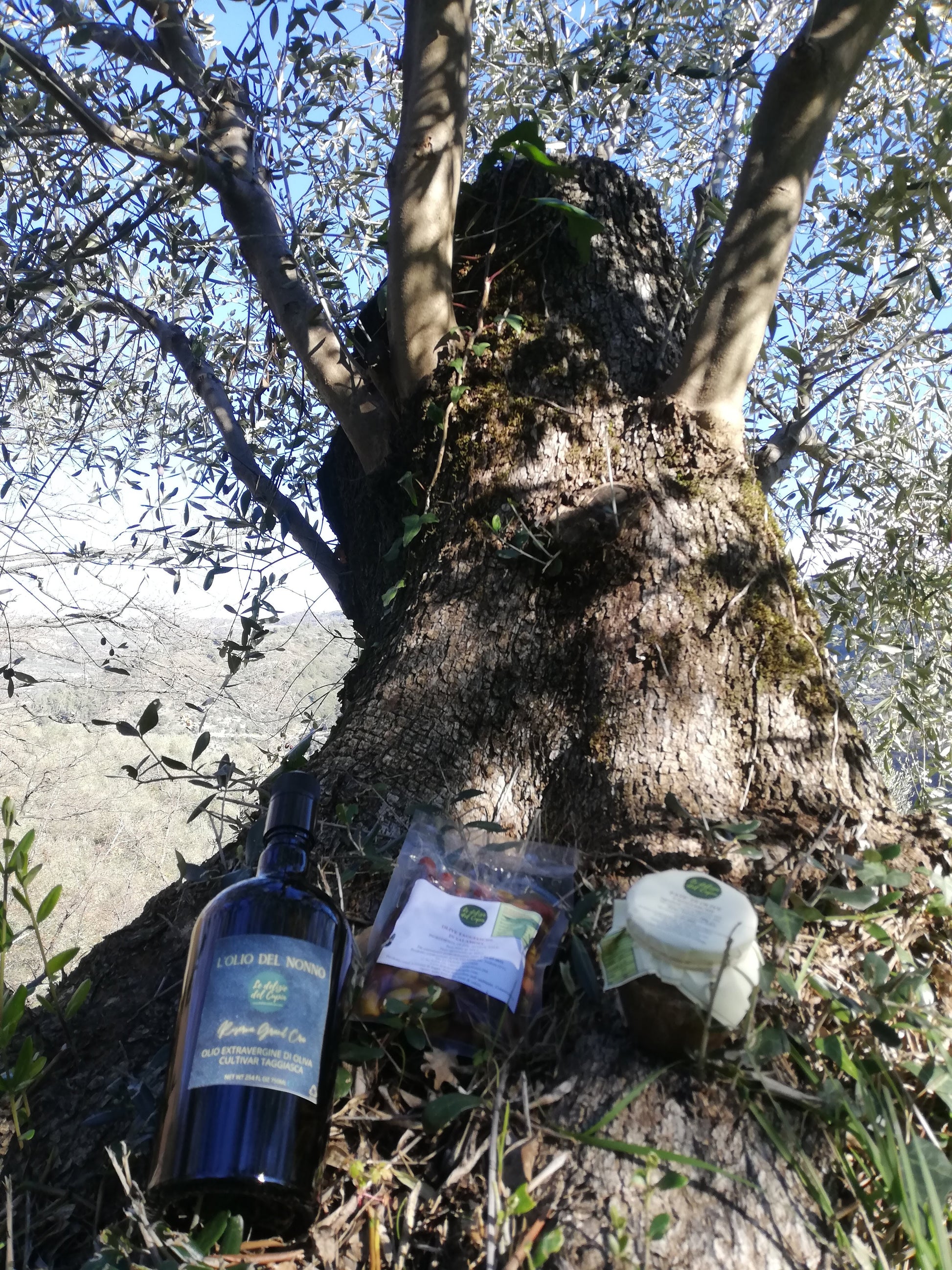Cupin of TAGGIASCA OLIVES PATE' 180GR-4